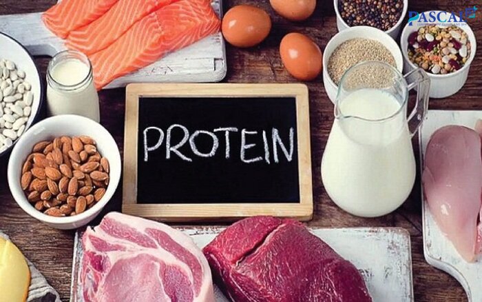 Cách giảm mỡ bắp tay nên tăng cường protein trong thực đơn
