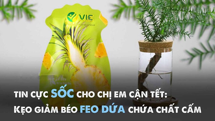 Kẹo dứa giảm cân có chất cấm của công ty VIC Việt Nam gây ảnh hưởng đến sức khỏe người tiêu dùng