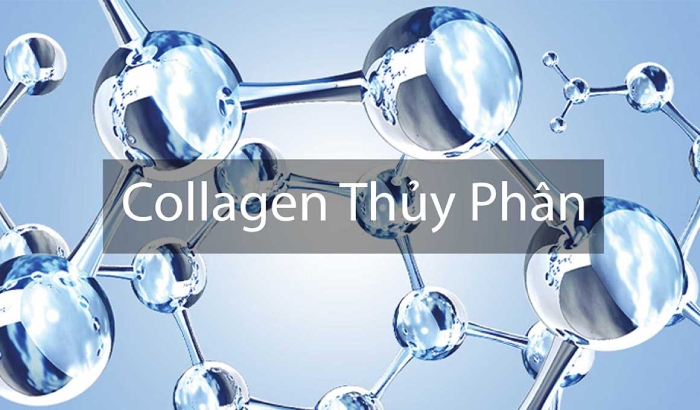 Bột collagen thủy phân là bột collagen mà các phân tử được chia nhỏ với công nghệ thủy phân 